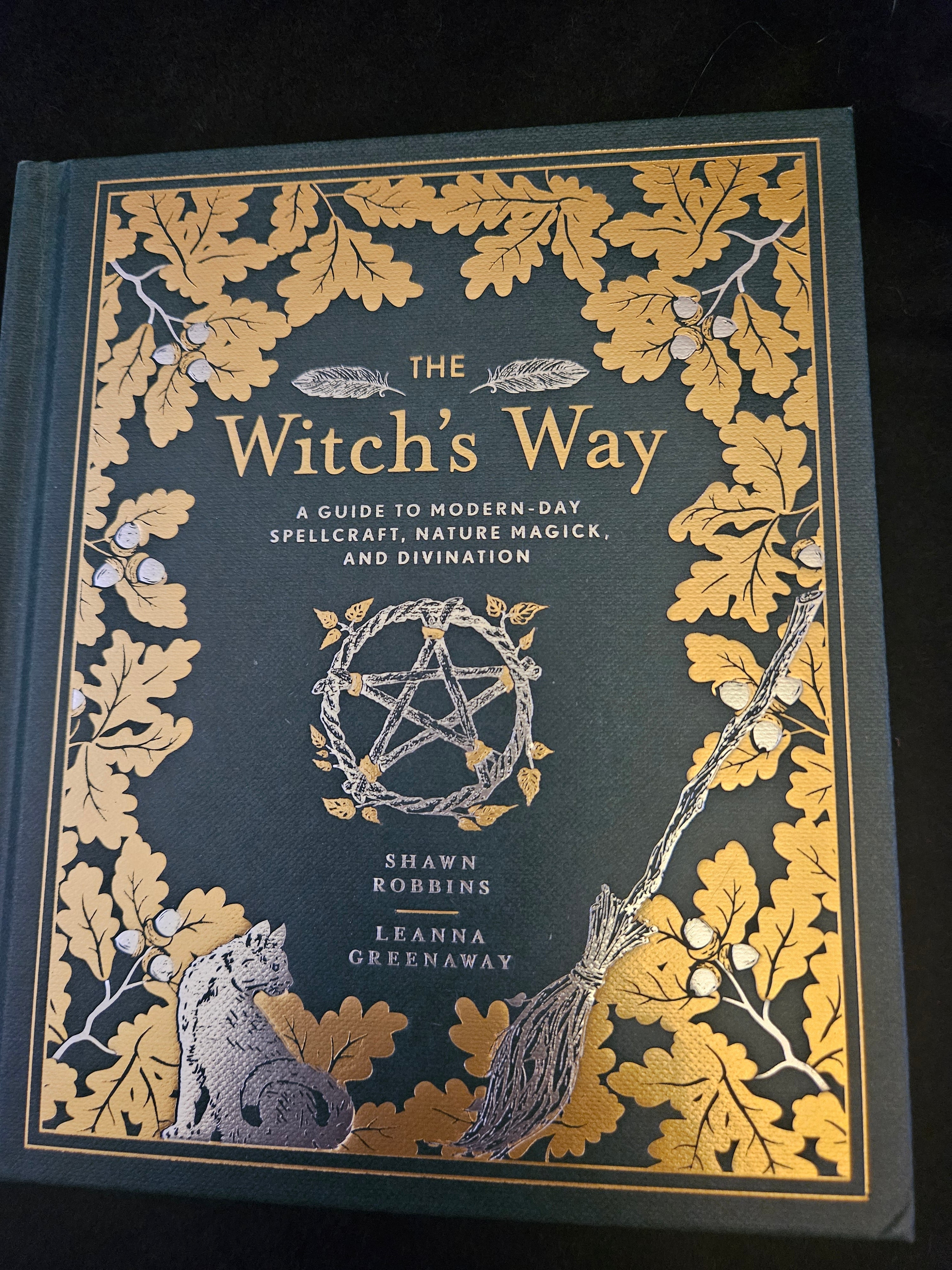 The Witch's Way: A Guide to Modern-Day Spellcraft, Nature Magick, and Divination (The Modern-Day Witch, 5)